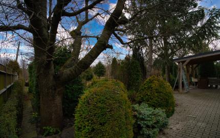 P.G's & Co. | Predáme 3 izbový rodinný dom na veľkom krásnom pozemku v Dobrohošti