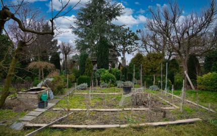 P.G's & Co. | Predáme 3 izbový rodinný dom na veľkom krásnom pozemku v Dobrohošti