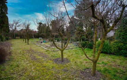 P.G's & Co. | Predáme 3 izbový rodinný dom na veľkom krásnom pozemku v Dobrohošti