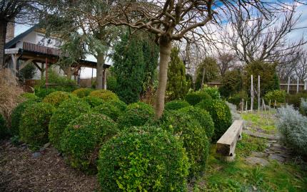 P.G's & Co. | Predáme 3 izbový rodinný dom na veľkom krásnom pozemku v Dobrohošti