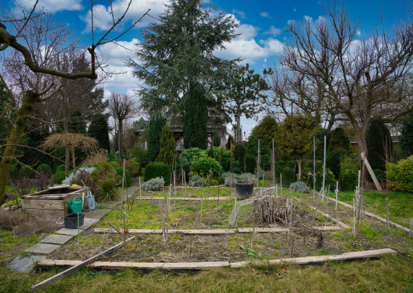 P.G's & Co. | Predáme 3 izbový rodinný dom na veľkom krásnom pozemku v Dobrohošti