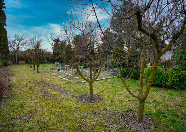 P.G's & Co. | Predáme 3 izbový rodinný dom na veľkom krásnom pozemku v Dobrohošti