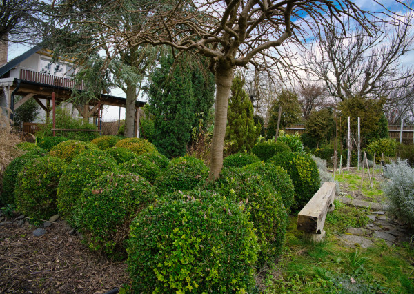 P.G's & Co. | Predáme 3 izbový rodinný dom na veľkom krásnom pozemku v Dobrohošti