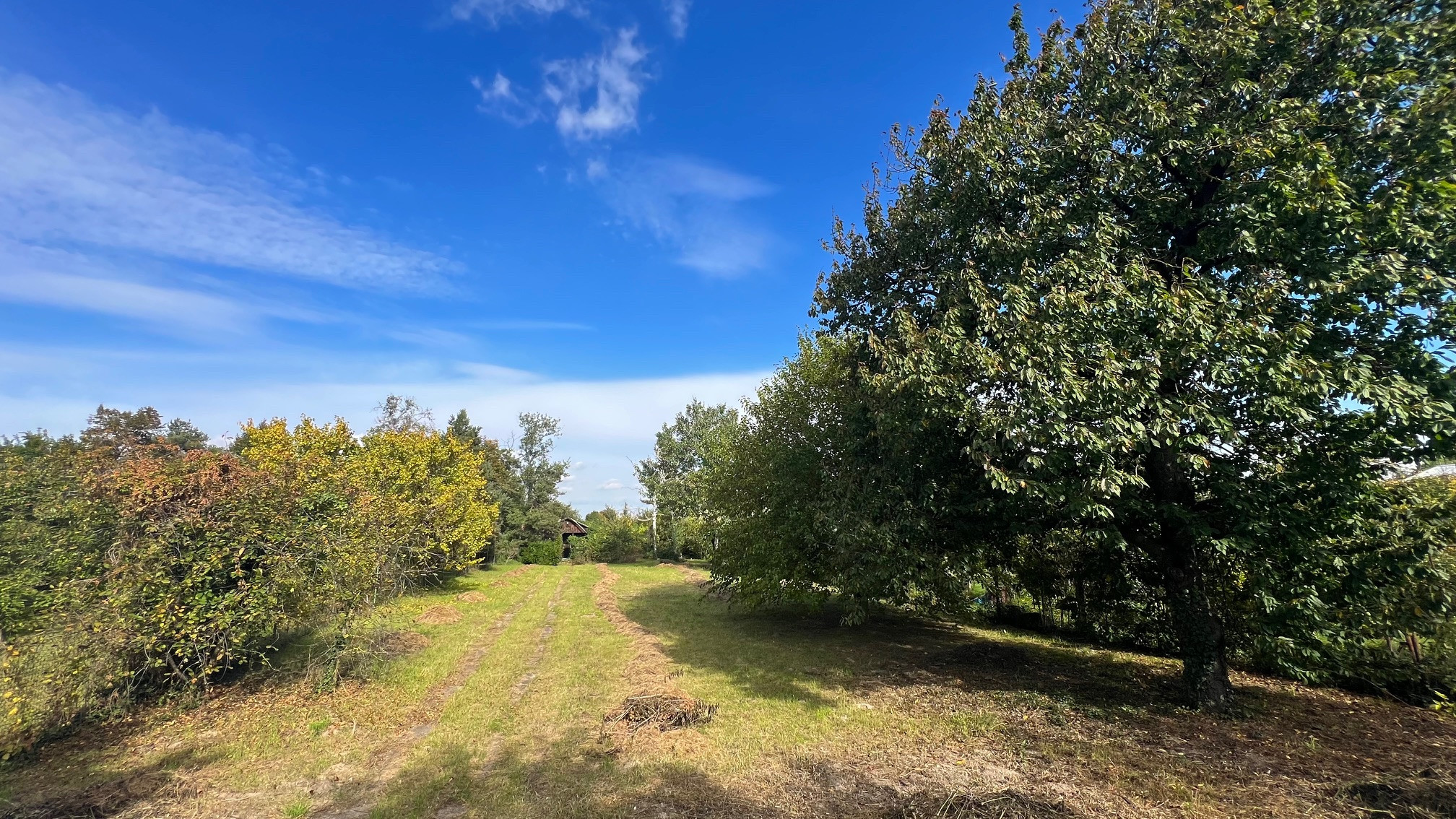 Na predaj stavebný pozemok 800m2, Kvetoslavov